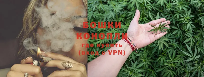 продажа наркотиков  Балабаново  Бошки Шишки OG Kush 